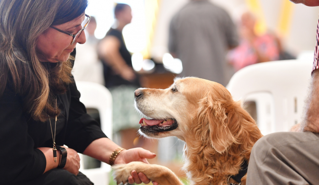 Woman in a black shirt looking at a yellow assistance dog and holding its paw.