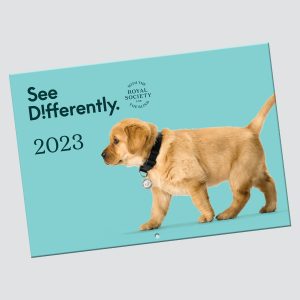 See Differently 2023 Calendar with teal-blue background and a yellow puppy