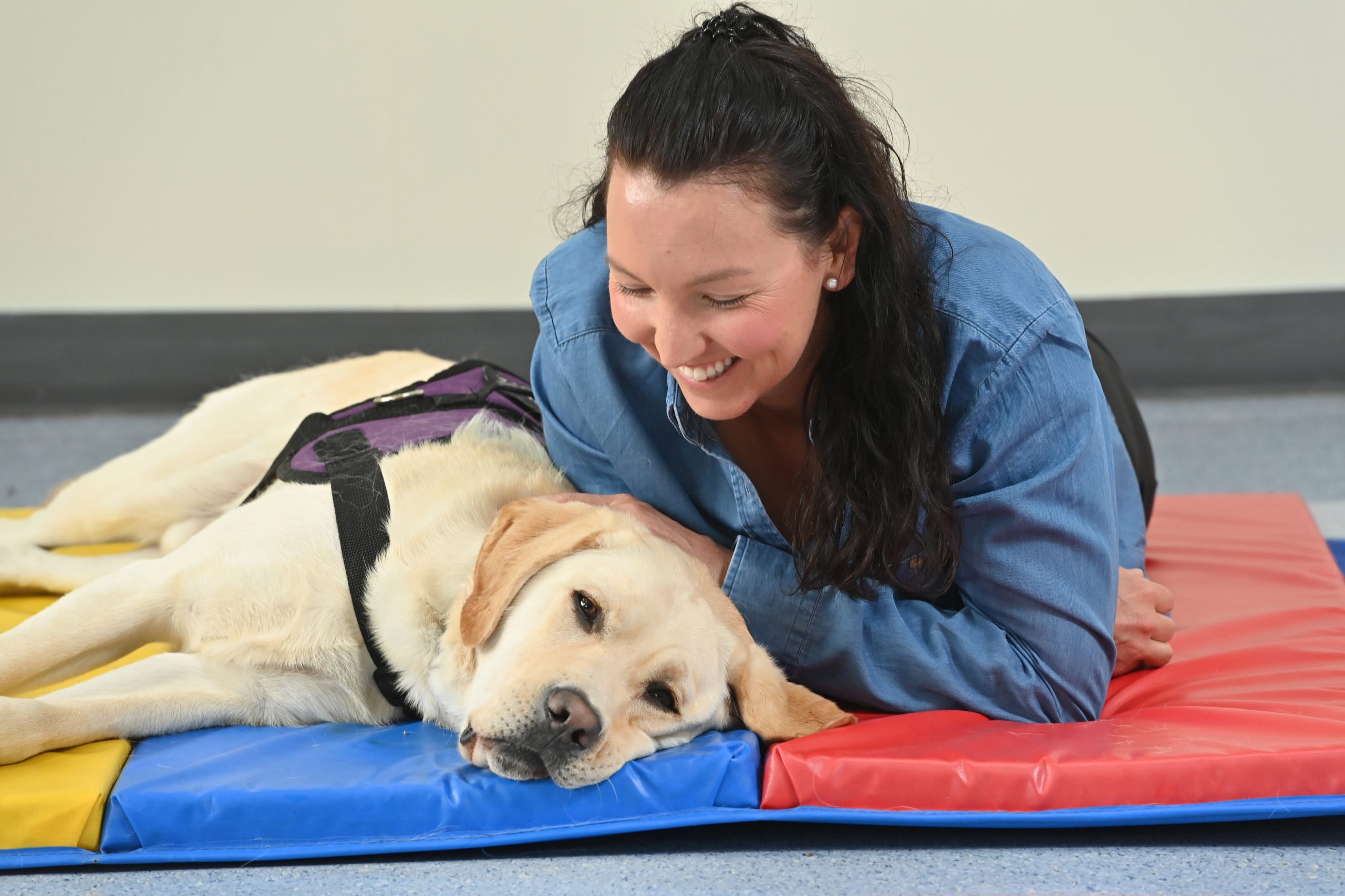Explore the benefits of Animal Assisted Therapy - See Differently