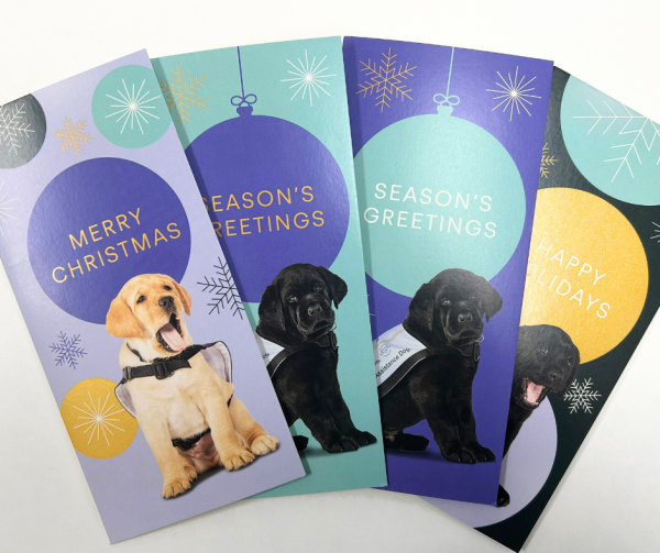Image of four colourful cards with black and yellow puppies on them